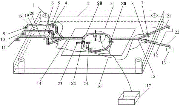 Magnetic bead separation device and method based on microfluidics