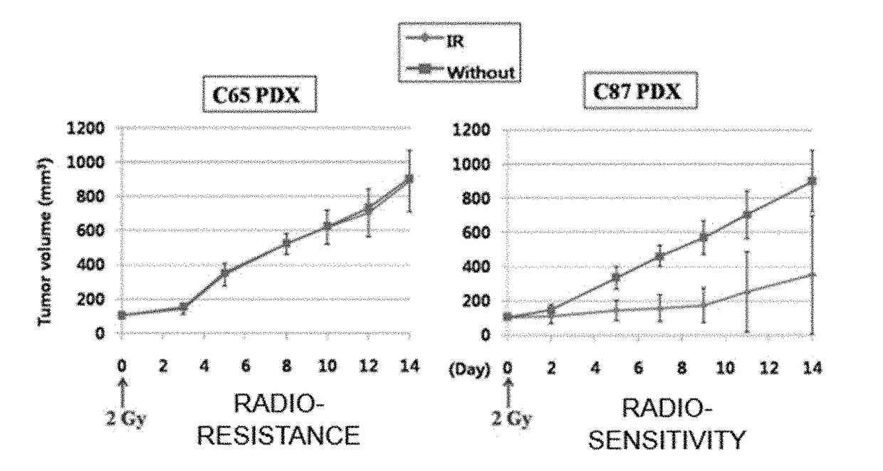 Peptides for targeting colorectal cancer, and medical use thereof