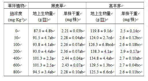 Applications of rare earth Cerium in improving root growth rate and chlorophyll content of lawn plants