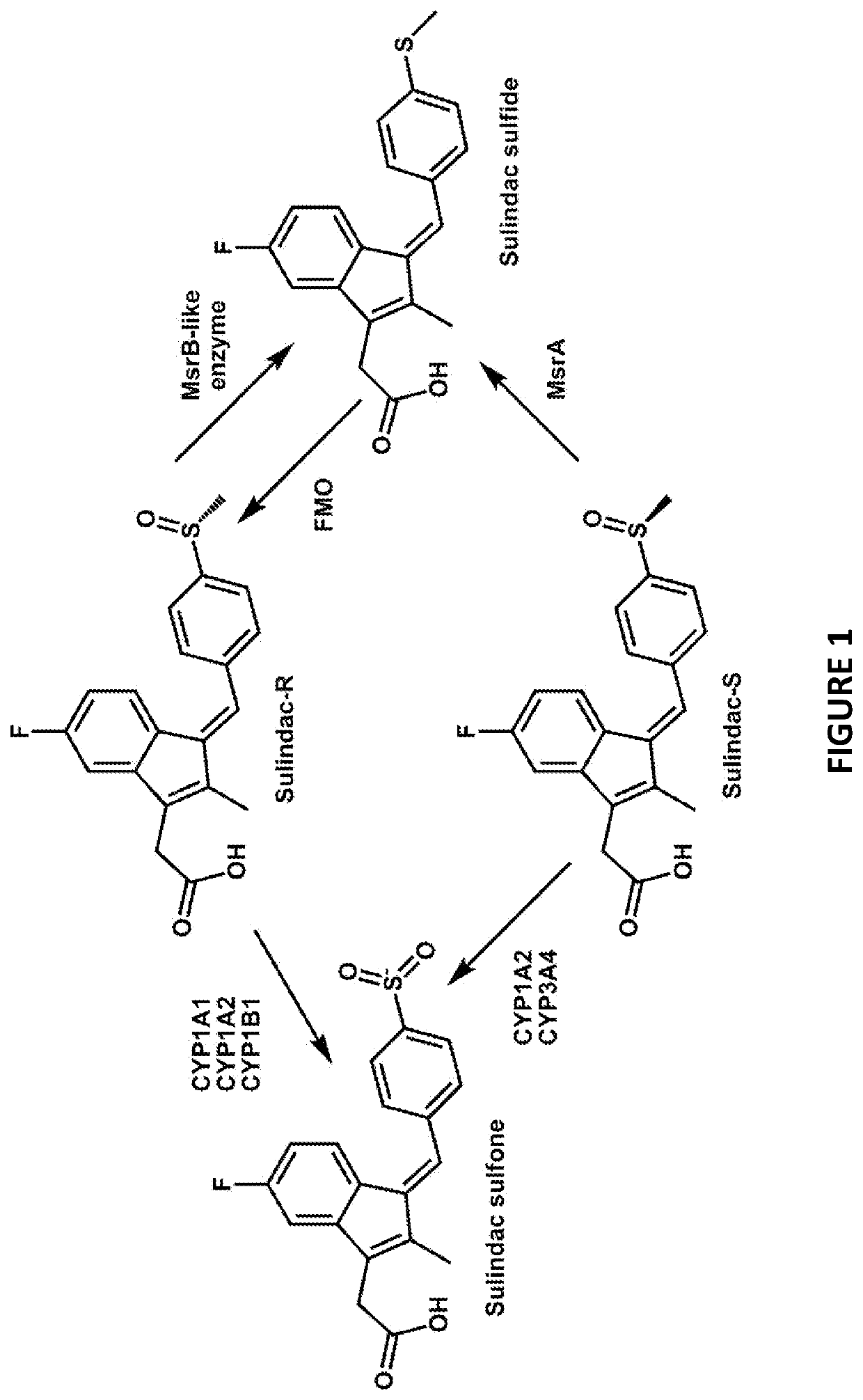 Derivatives of sulindac can protect normal cells against oxidative damage