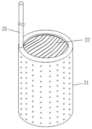 Esophageal stent device with medicine carrying and shaping functions