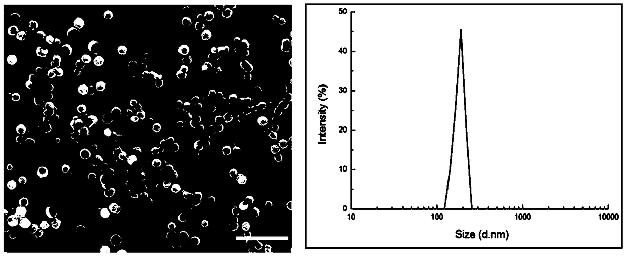 A kind of pyrimidine derivative and its preparation method and application