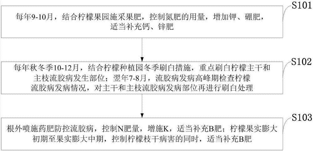 Method for controlling bleeding disease of lemon trees