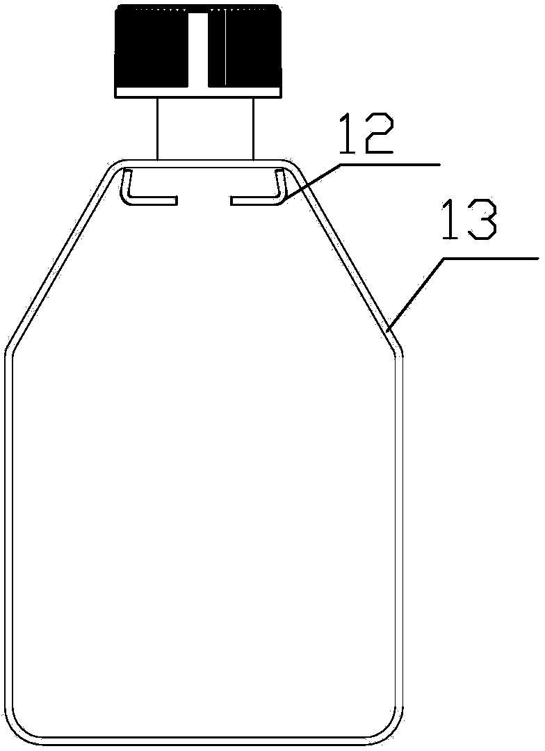 Cell culture bottle