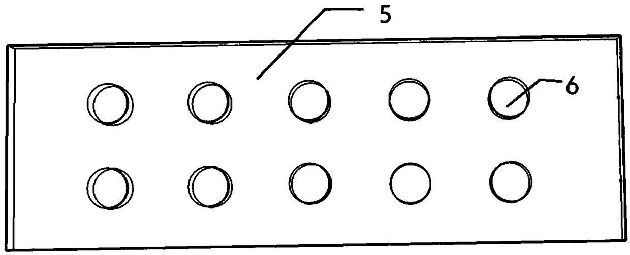 Application of rectangular glass container in screening plants adapting to karst landform and screening method of plants