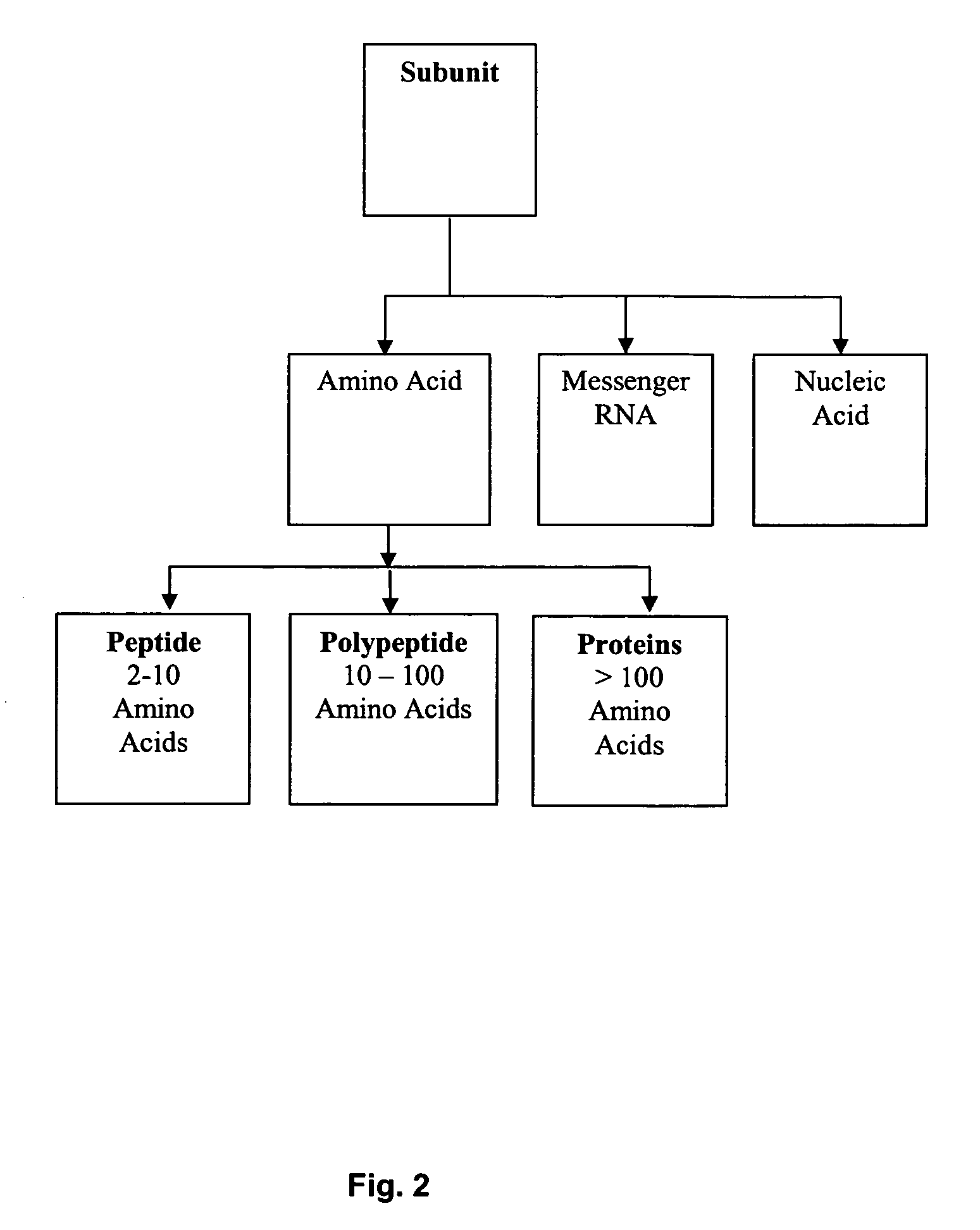 Immunogenic composition and method of developing a vaccine based on portions of the HIV matrix protein