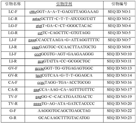 Primer probe combination and kit for vagina micro-ecology detection