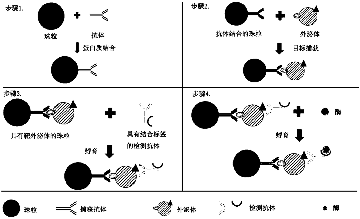 Analysis of exosomes and methods of diagnosing cancer