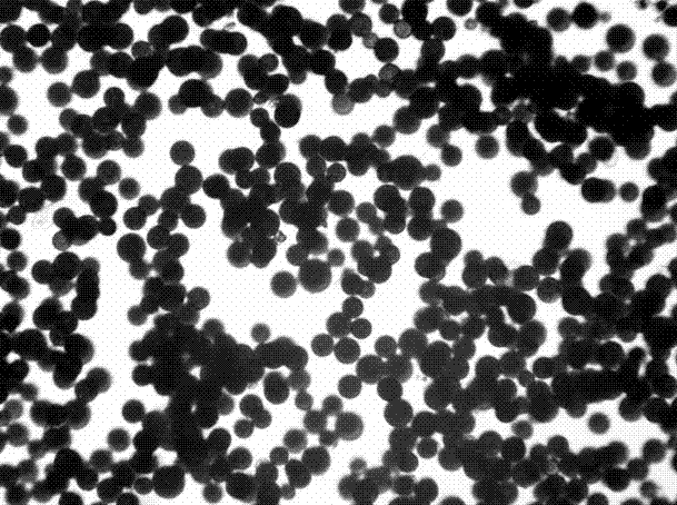 Haematococcus pluvialis cell wall breaking method