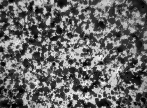 Haematococcus pluvialis cell wall breaking method