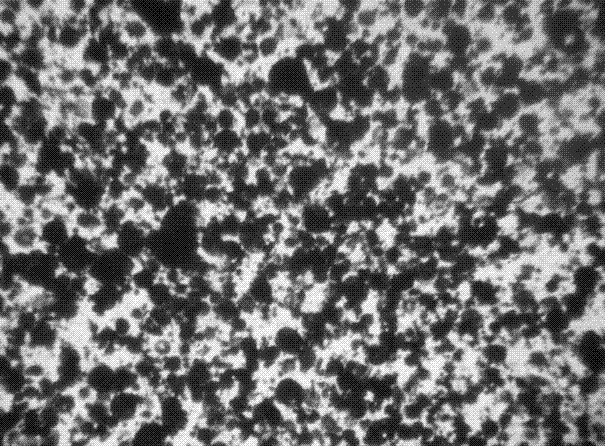 Haematococcus pluvialis cell wall breaking method