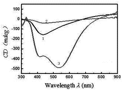 A chiral metal nanostructure for realizing circular dichroism and its preparation method