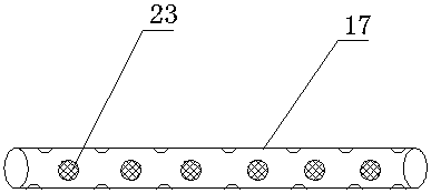 Seed screening and drying device