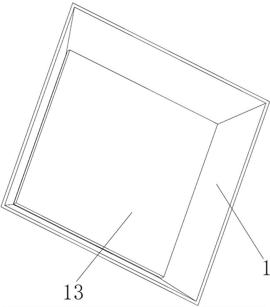 Automatic food feeding machine