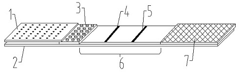 Detection card for identifying, diagnosing and detecting avian influenza virus infection and vaccine immunity and preparation method thereof