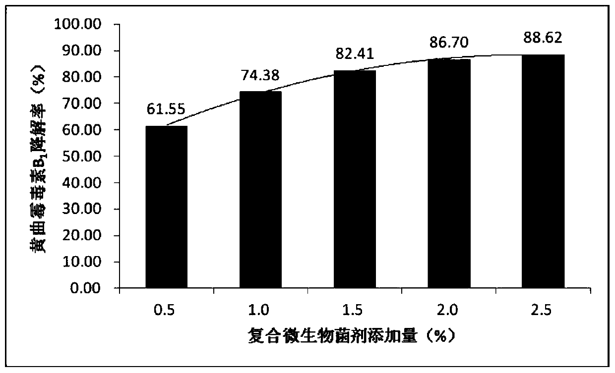 A kind of fermentation agent for degrading aflatoxin, its preparation method and application