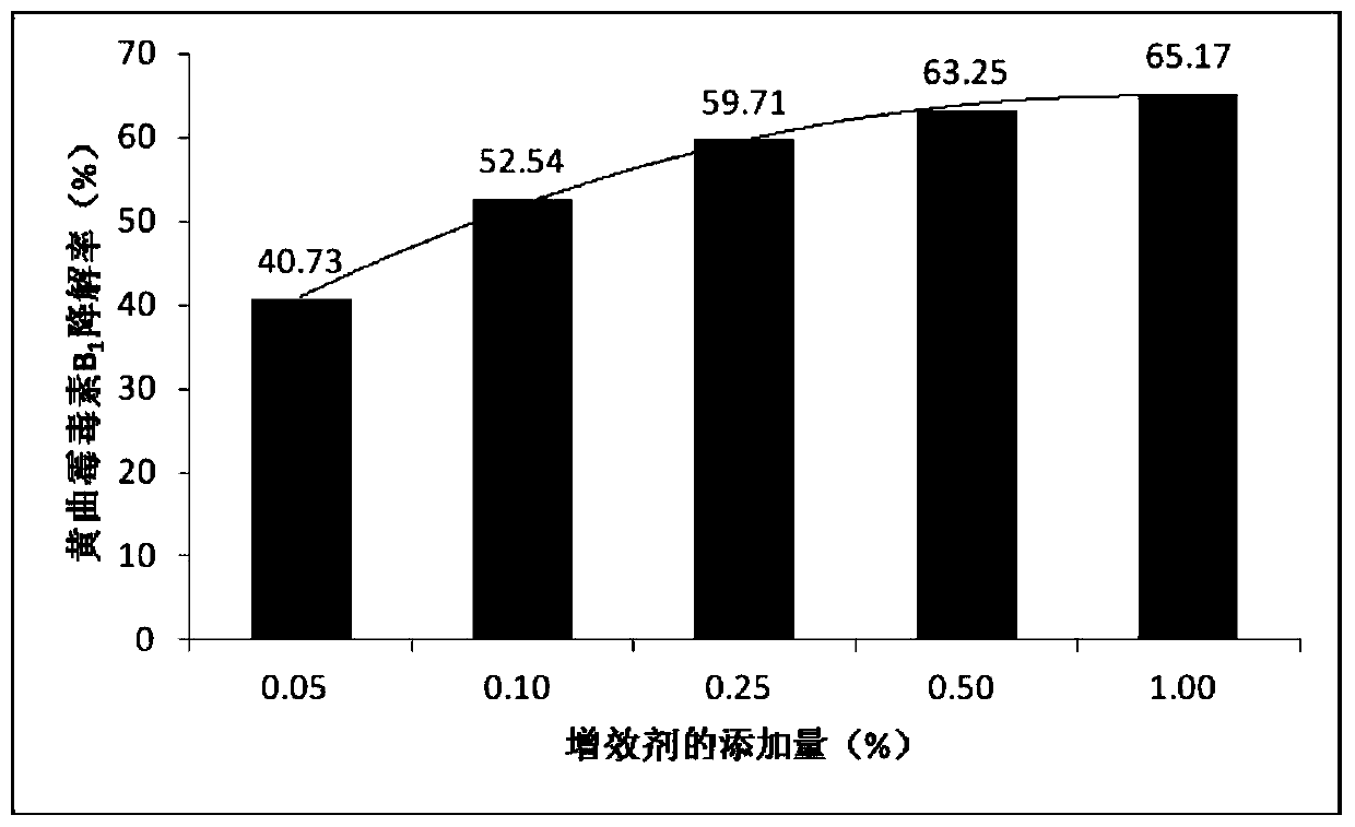 A kind of fermentation agent for degrading aflatoxin, its preparation method and application