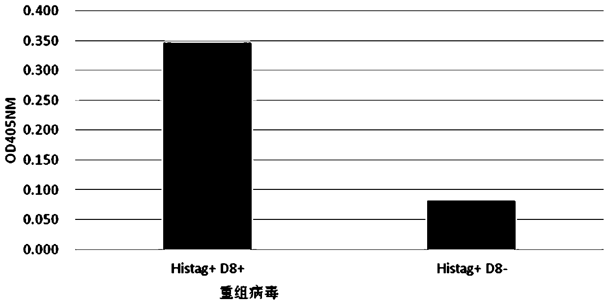 Combinant vaccinia virus surface display system vector plasmid and application thereof