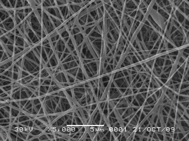 Load type palladium/polyvinyl alcohol fibre membrane catalyst, and preparation method and application thereof