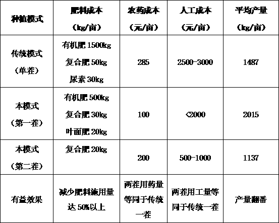 Large-scale, high-yield and high-efficiency bei-bei pumpkin cultivation mode in north China