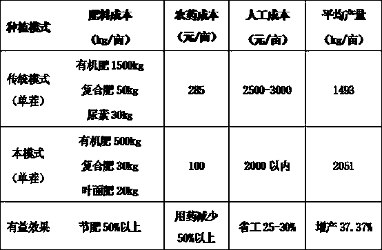 Large-scale, high-yield and high-efficiency bei-bei pumpkin cultivation mode in north China