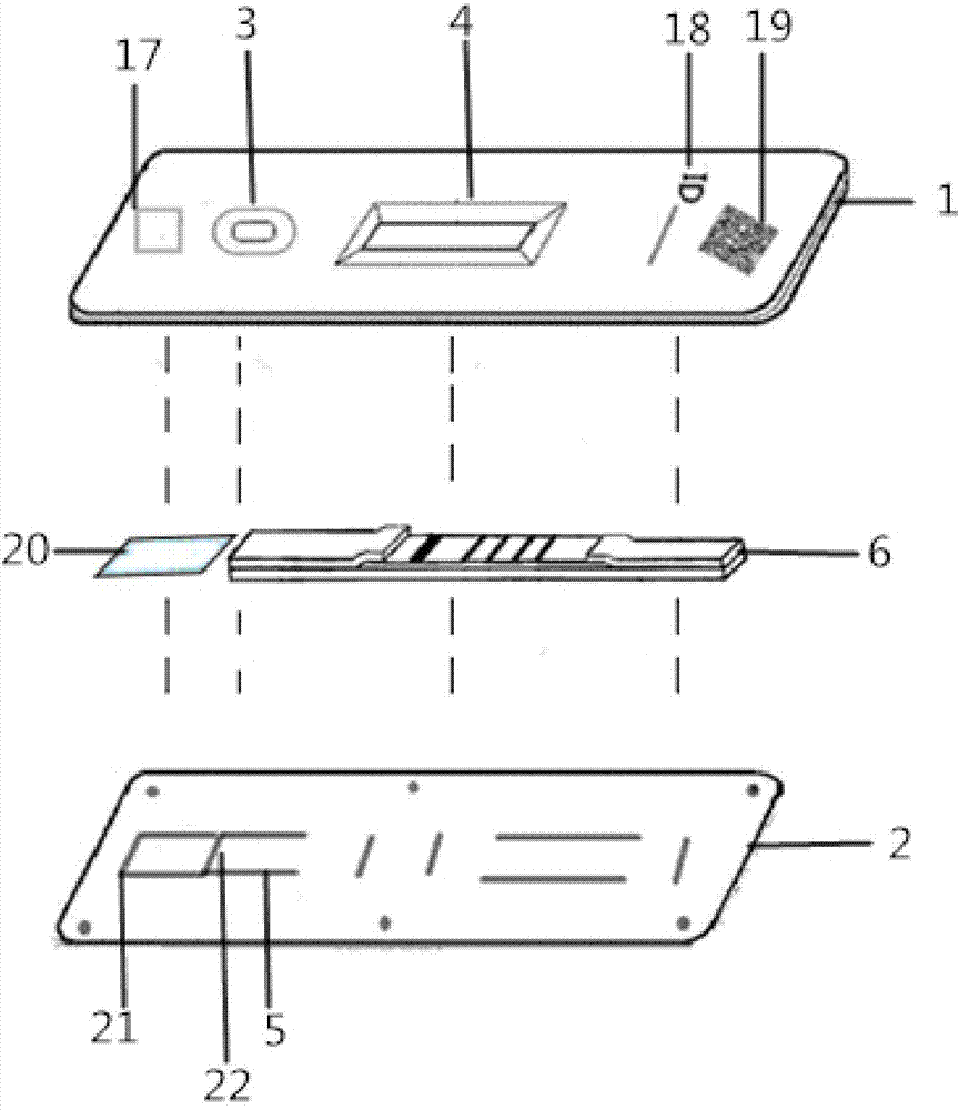 Hemoglobin, hemoglobin-haptoglobin composite and transferrin joint examination kit and preparation method and detection method thereof