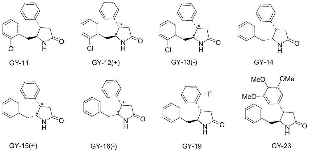 Pharmaceutical uses of 4,5-disubstituted-2-pyrrolidone compounds