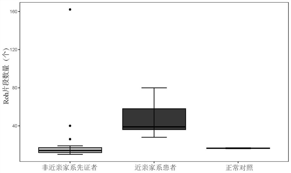 Method, device and equipment for inbreeding family identification based on whole exon data