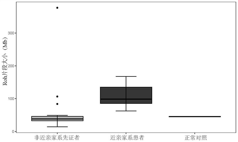 Method, device and equipment for inbreeding family identification based on whole exon data