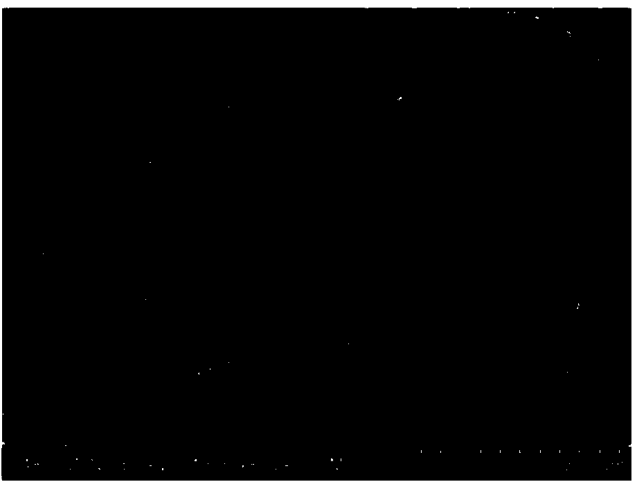 Zinc oxide based composite photocatalytic nano-material and preparation method thereof