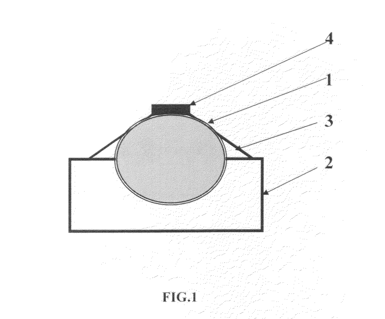 Bottom seismic station