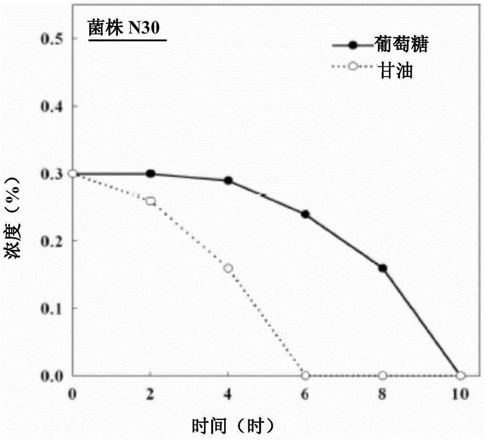 Strain capable of improving performance of recombinant protein under aerobic condition