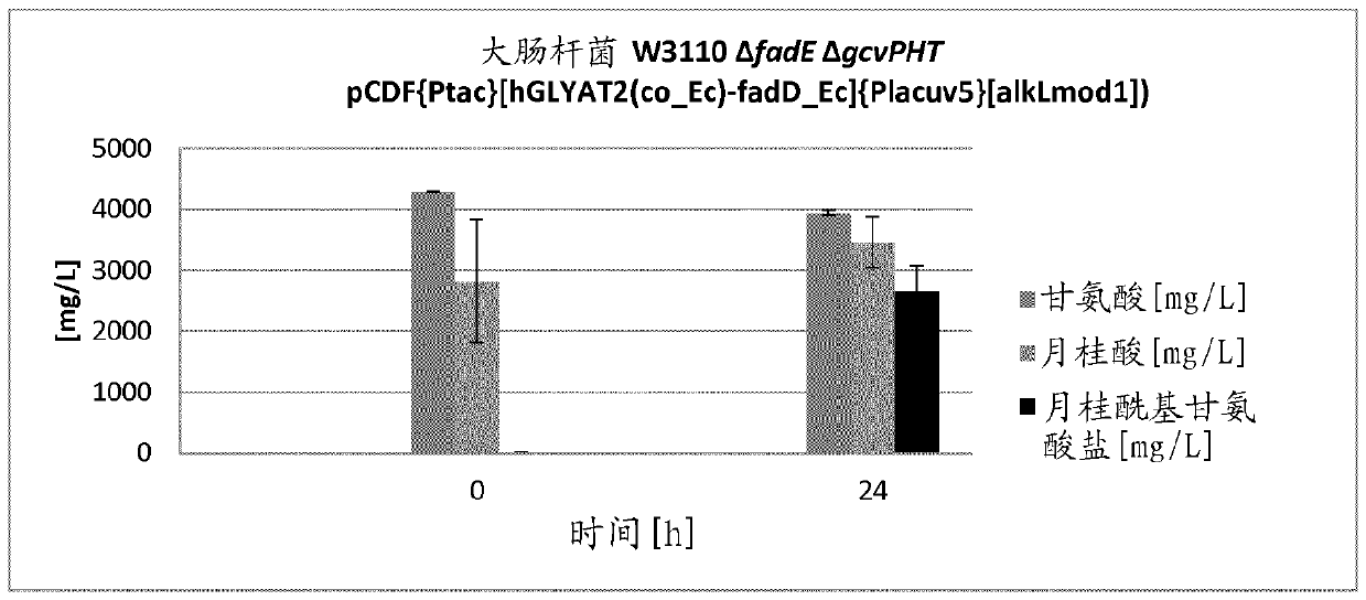 Biosynthetic production of acyl amino acids