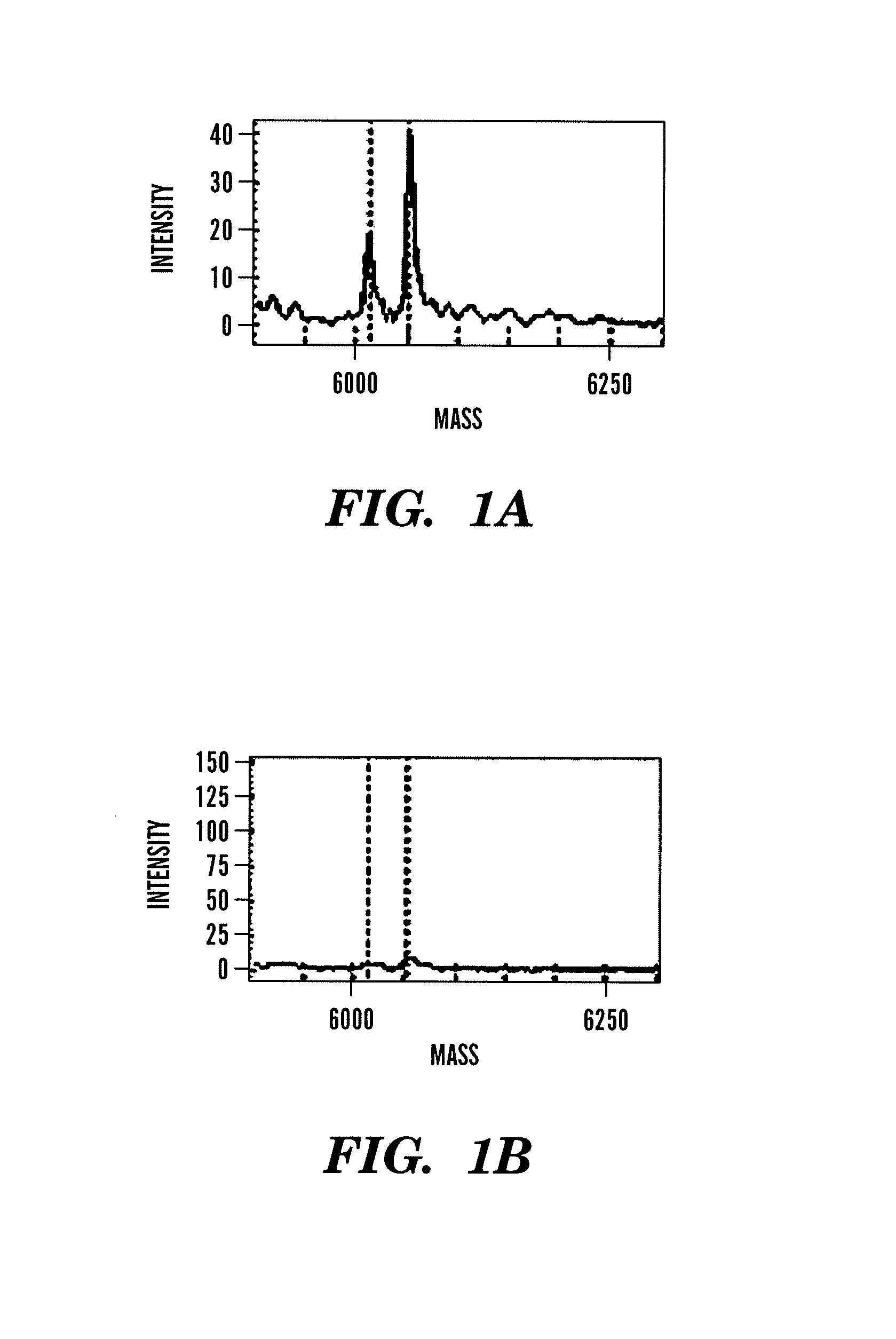 Method for detecting and quantifying rare mutations/polymorphisms