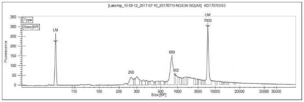 Construction method and kit of T cell antigen receptor diversity sequencing library