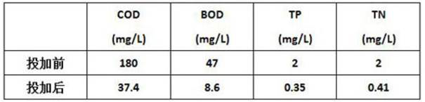 Microbial pellets for degrading black and odorous water channel sediment, preparation method and application thereof