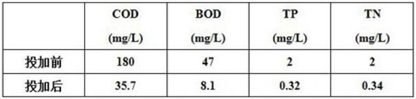 Microbial pellets for degrading black and odorous water channel sediment, preparation method and application thereof