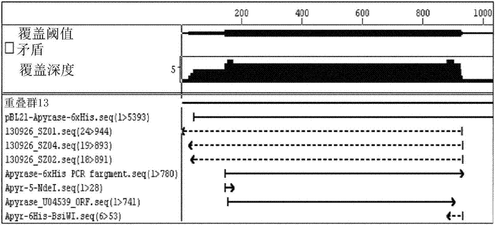 Analytical and diagnostic methods utilizing shigella flexneri apyrase