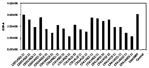 Sucrose fatty acid ester embedded cationic liposome gene carrier system and its preparation method and application