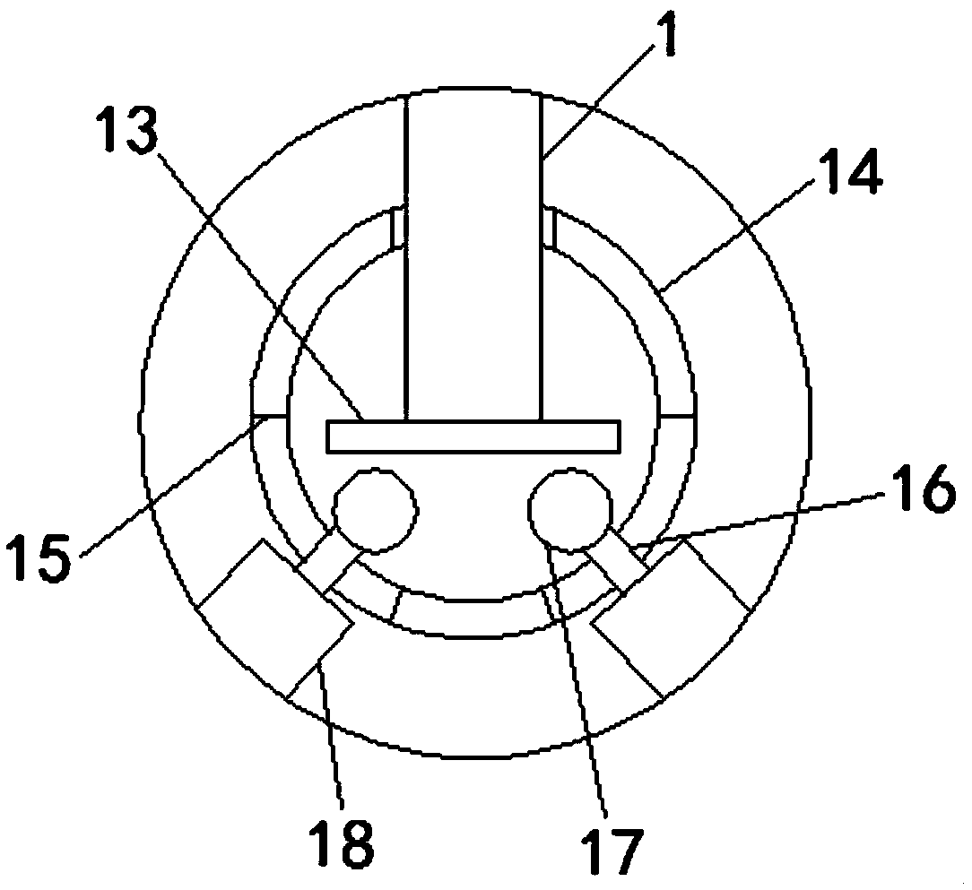 Projection device convenient to adjust height