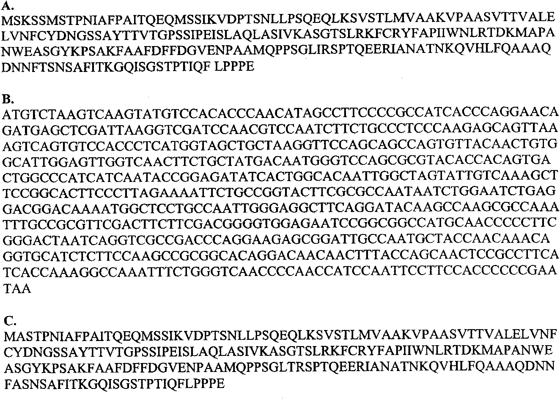 Papaya mosaic virus-based vaccines against salmonella typhi and other enterobacterial pathogens