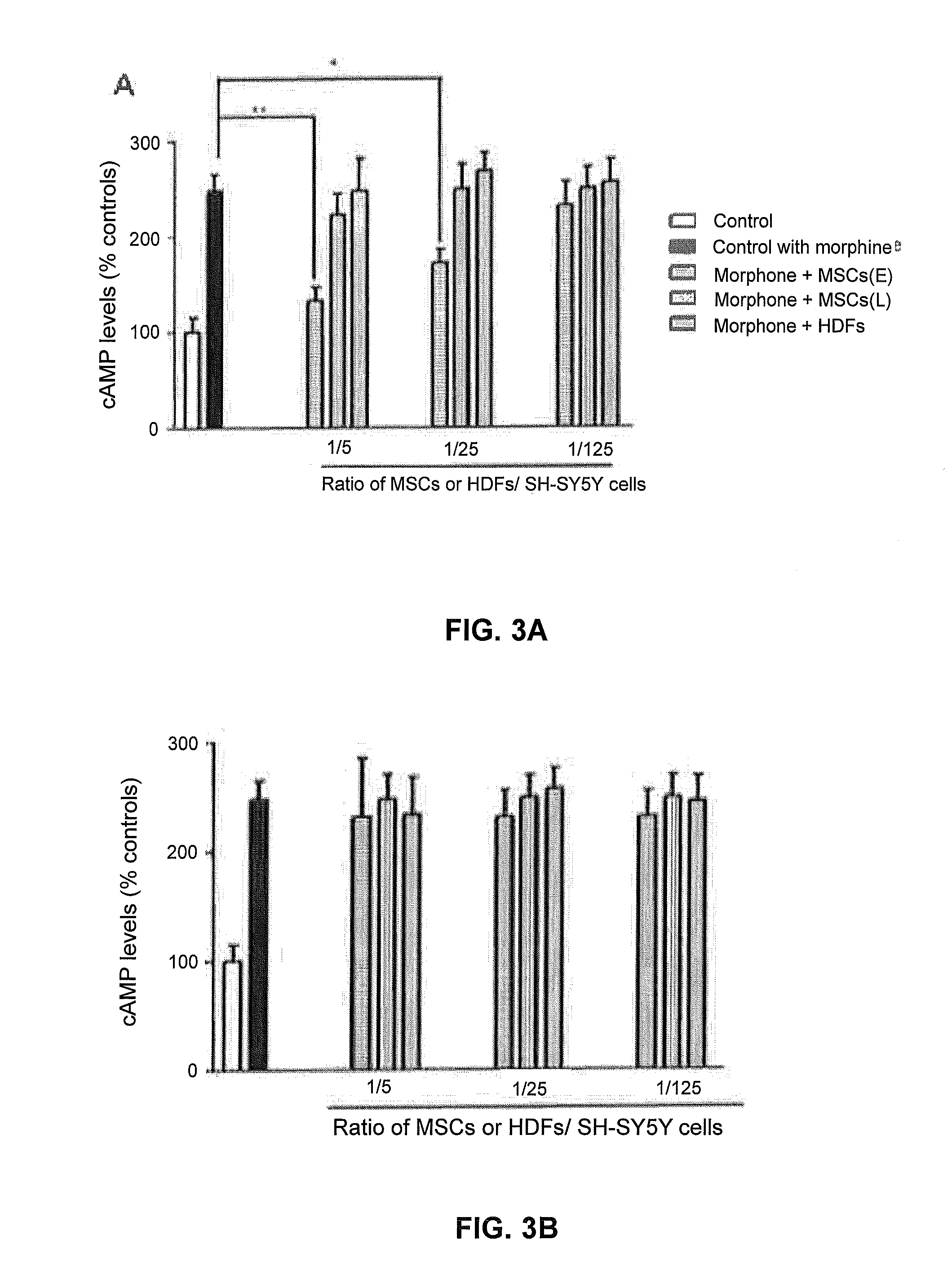 Methods of attenuating opioid tolerance