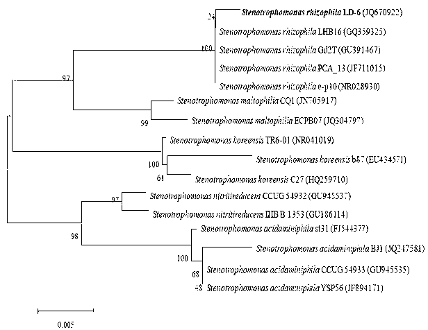 Endosulfan degradation stain and application thereof in soil remediation