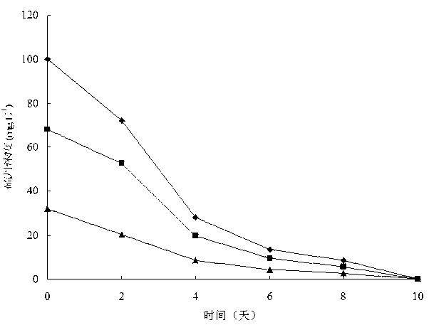 Endosulfan degradation stain and application thereof in soil remediation