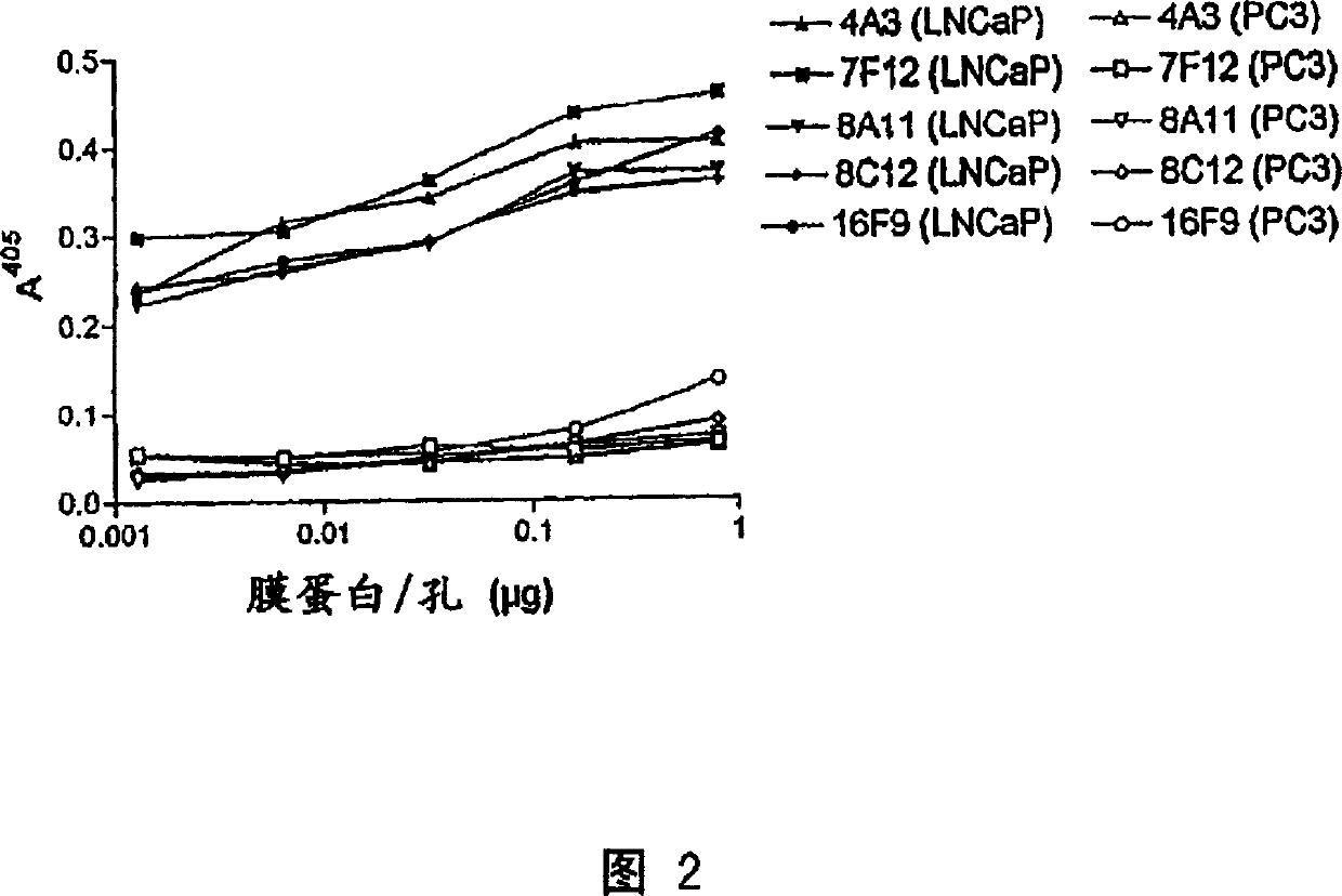 Human monoclonal antibodies to prostate specific membrane antigen (PSMA)