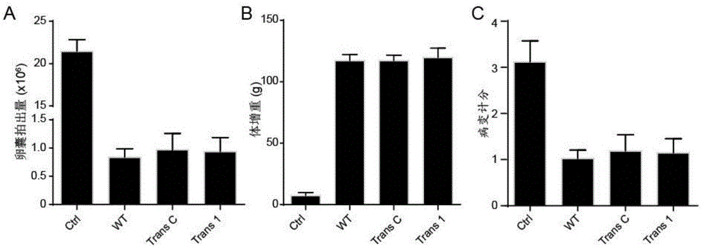 Coccidiosis vaccine component having cross immunological protection capacity and vaccine