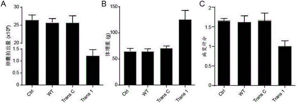 Coccidiosis vaccine component having cross immunological protection capacity and vaccine