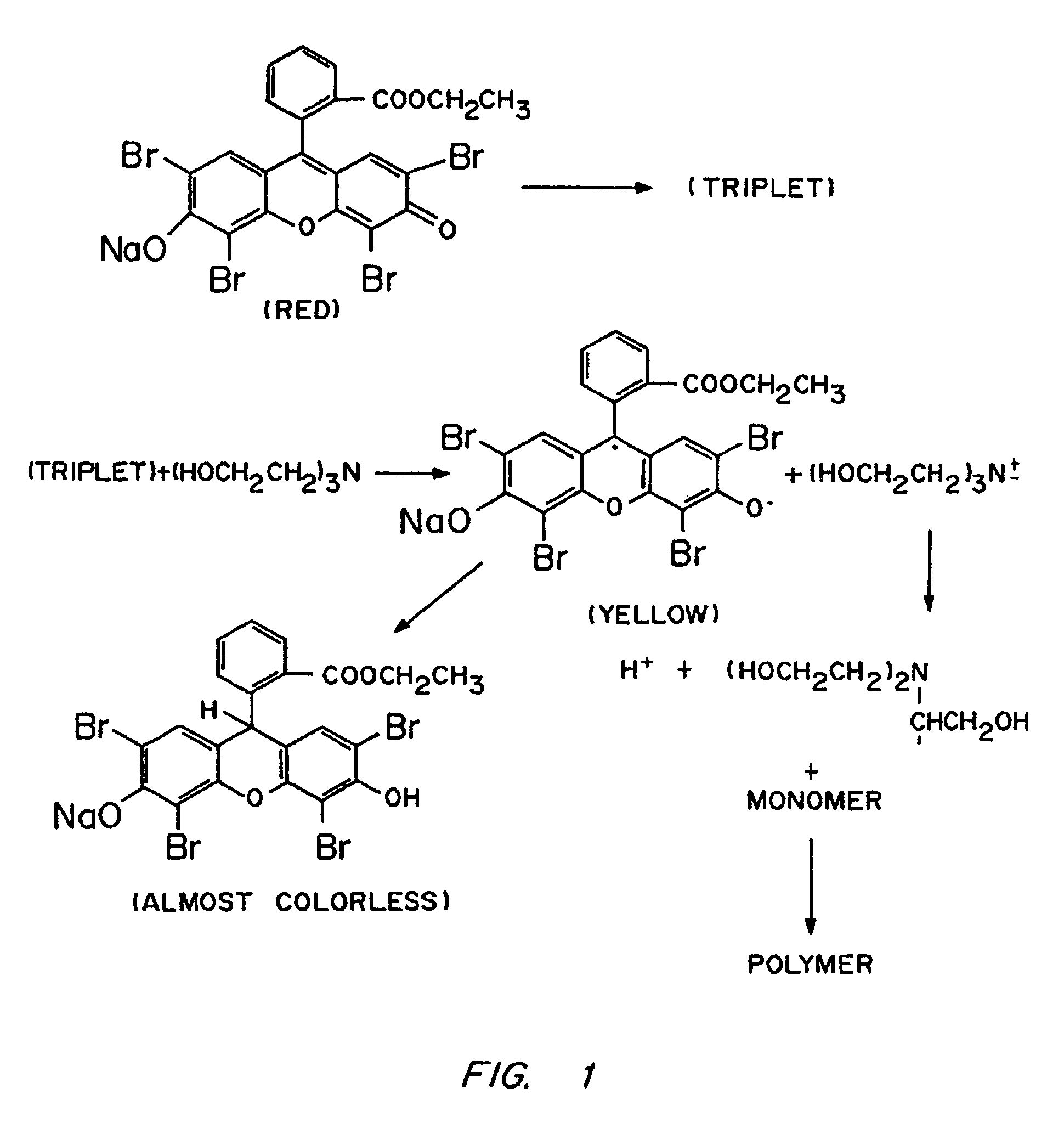 Gels for encapsulation of biological materials