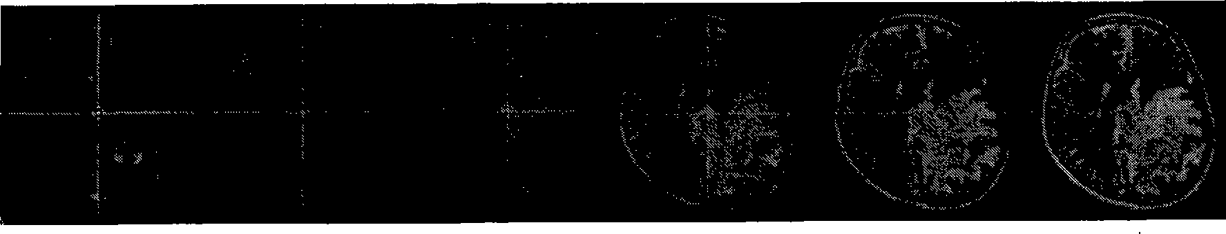 Method for acquiring nerve navigation system imaging data