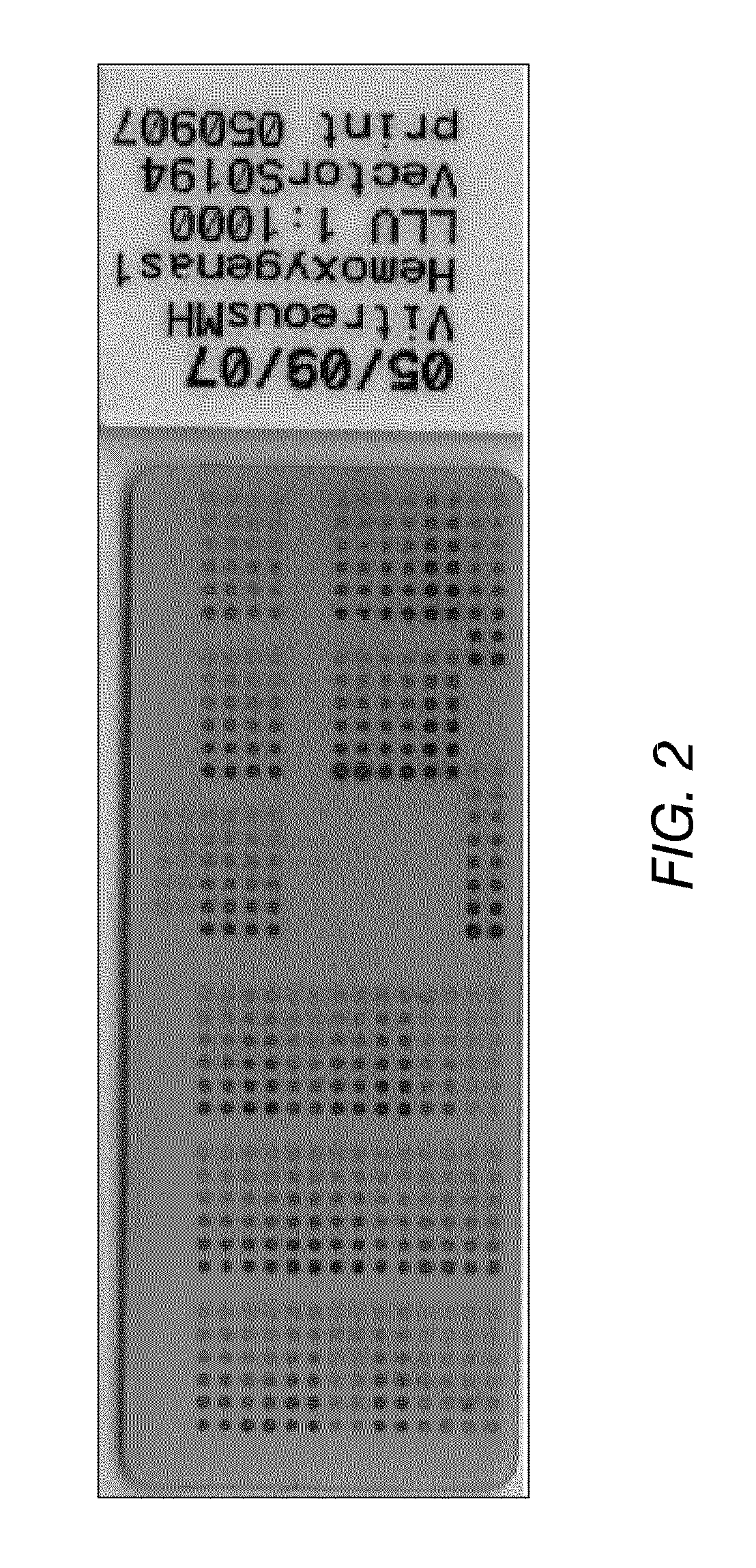 Inhibition of brain enzymes involved in cerebral amyloid angiopathy and macular degeneration